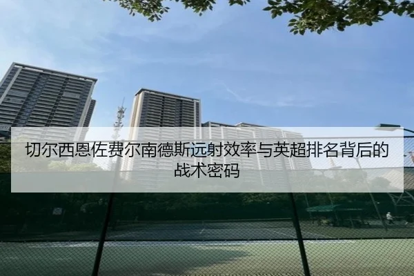 切尔西恩佐费尔南德斯远射效率与英超排名背后的战术密码